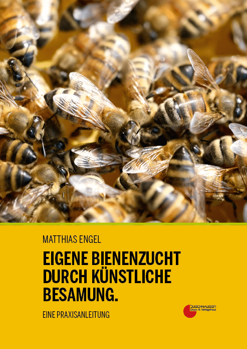 Matthias Engel - Eigene Bienenzucht durch künstliche Besamung
